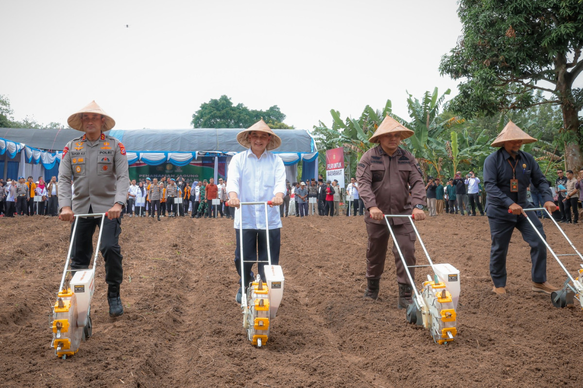 Wagub Banten A Dimyati Natakusumah: Program Tanam Jagung Dorong Kemandirian dan Wirausaha Masyarakat