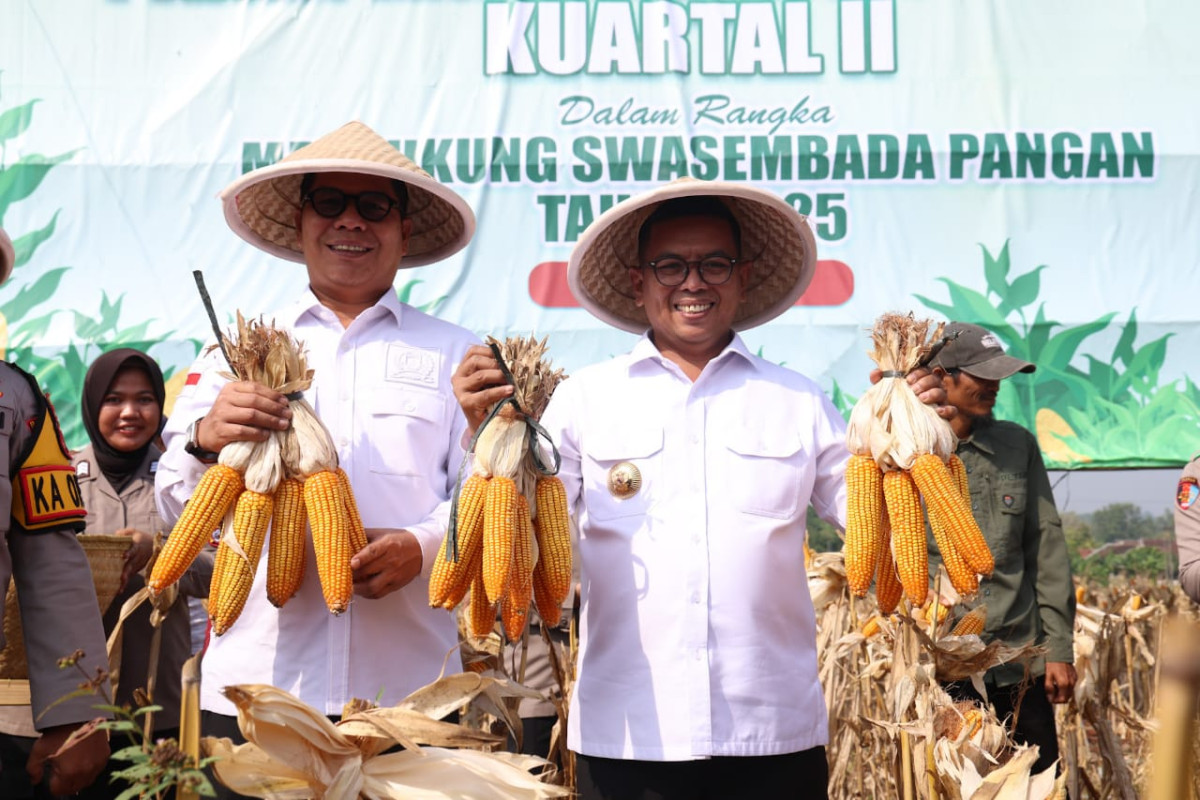 Perkuat Ketahanan Pangan, Gubernur Banten Andra Soni: Pemprov Banten Tingkatkan Produksi Tanaman Jagung