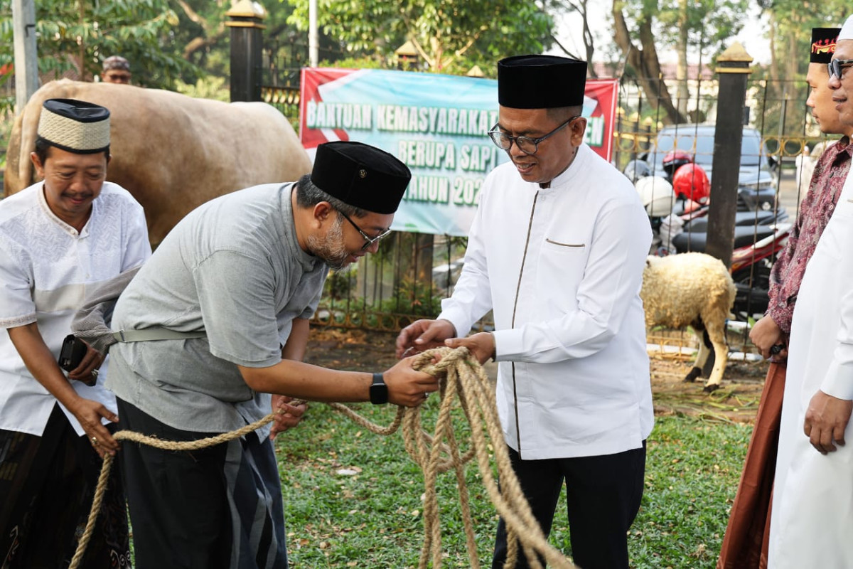 Saksikan Penyembelihan Hewan Kurban Presiden Prabowo, Gubernur Banten Andra Soni : Kita Salurkan Ke Masyarakat