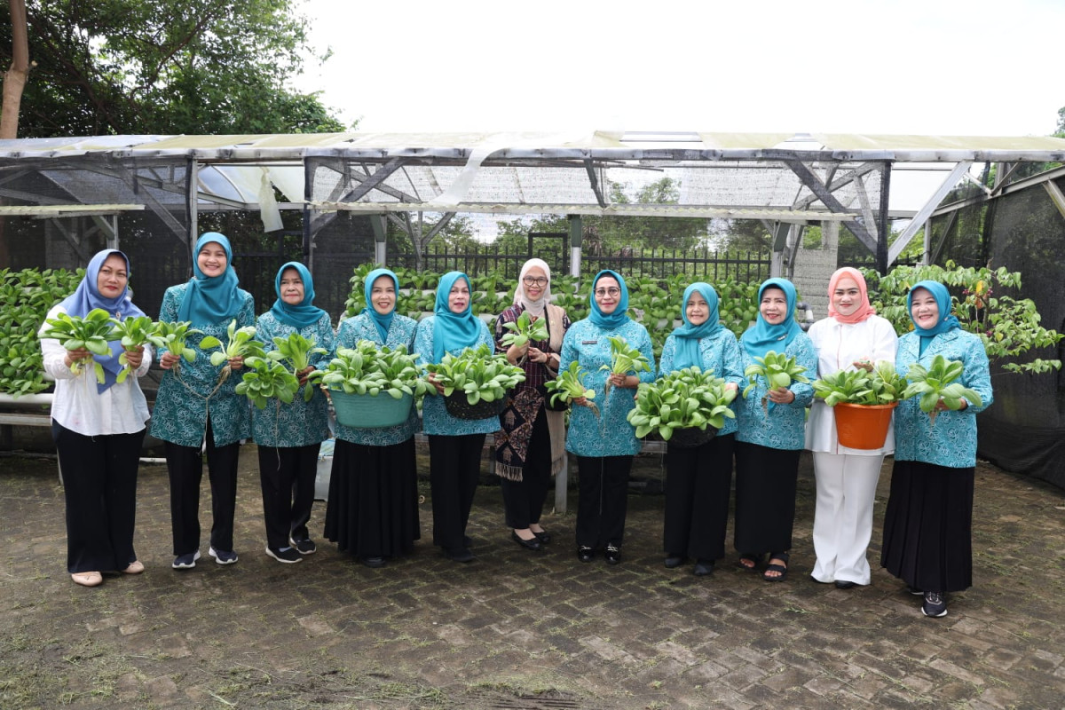 Pj Ketua TP PKK Provinsi Banten Irmawaty Habie Damenta Ajak Maksimalkan Manfaat Pekarangan Rumah